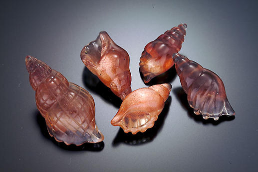 Seashells